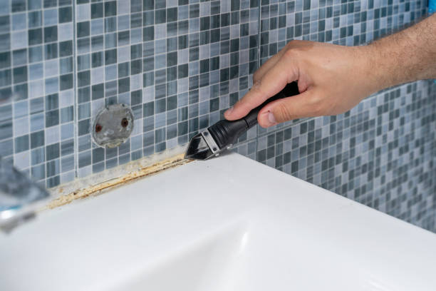 Best Mold Remediation  in Congers, NY