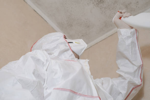 Best Home Mold Removal  in Congers, NY