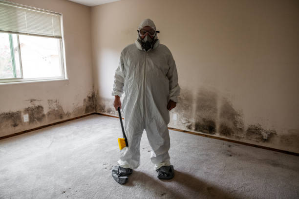 Best Fast Mold Removal  in Congers, NY